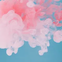 Noji